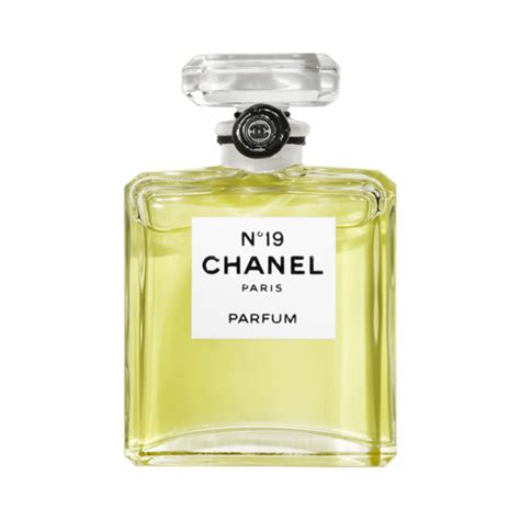 chanel 19 perfume|chanel 19 perfume offers.